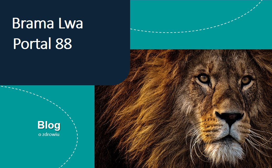 Brama Lwa