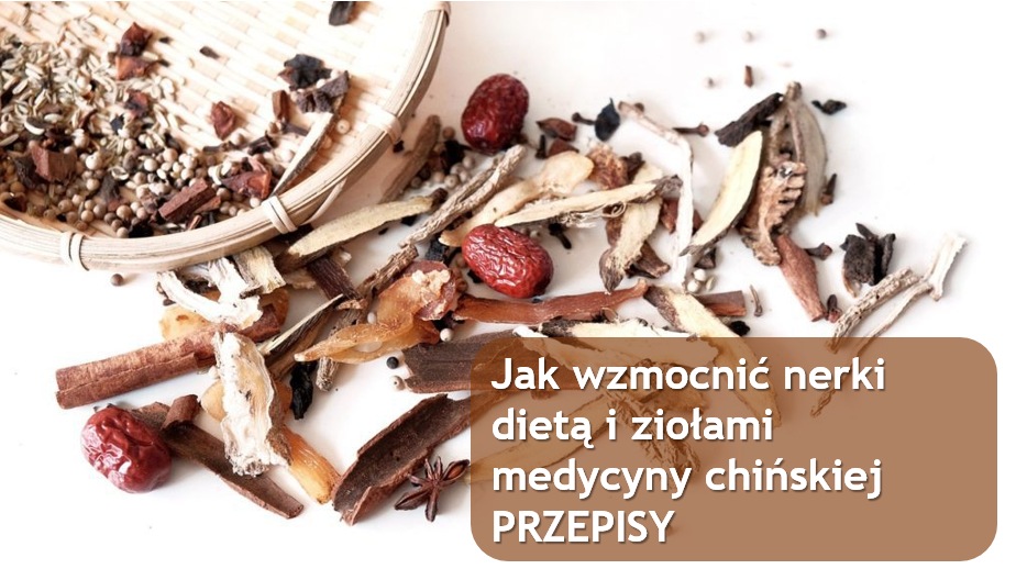 Jak wzmocnić nerki dietą i ziołami 