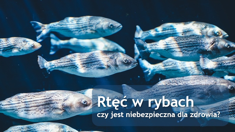 Rtęć w rybach - czy jest niebezpieczna? 