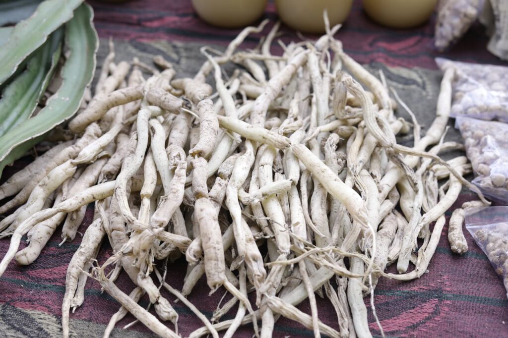 ashwagandha korzen witania ospala
