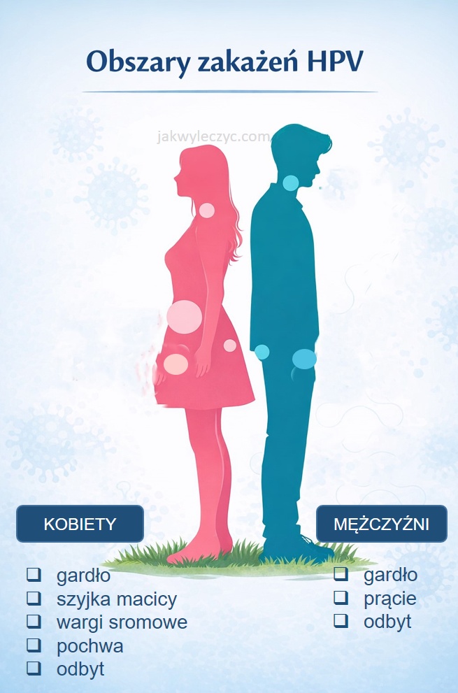 HPV wirus brodawczaka ludzkiego 